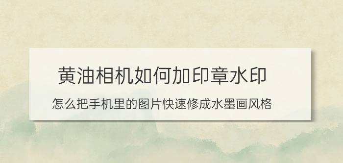 黄油相机如何加印章水印 怎么把手机里的图片快速修成水墨画风格？